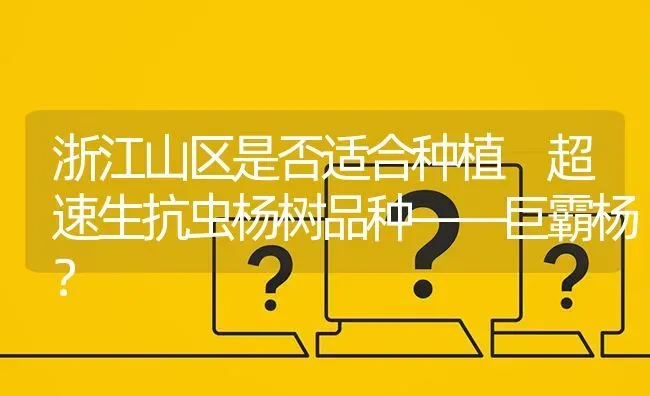 浙江山区是否适合种植 超速生抗虫杨树品种——巨霸杨? | 养殖问题解答