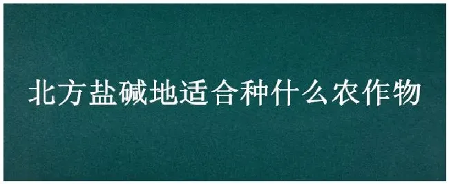 北方盐碱地适合种什么农作物 | 三农问答