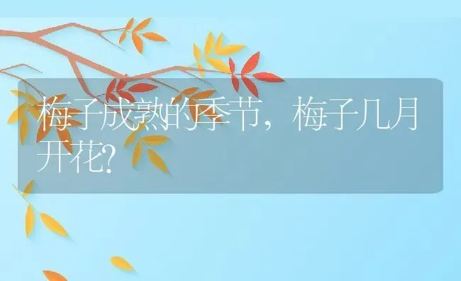 梅子成熟的季节,梅子几月开花？ | 养殖常见问题