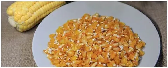 玉米种子不发芽的原因 | 农业问题