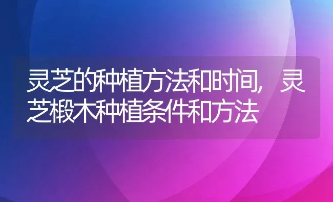 灵芝的种植方法和时间,灵芝椴木种植条件和方法 | 养殖常见问题