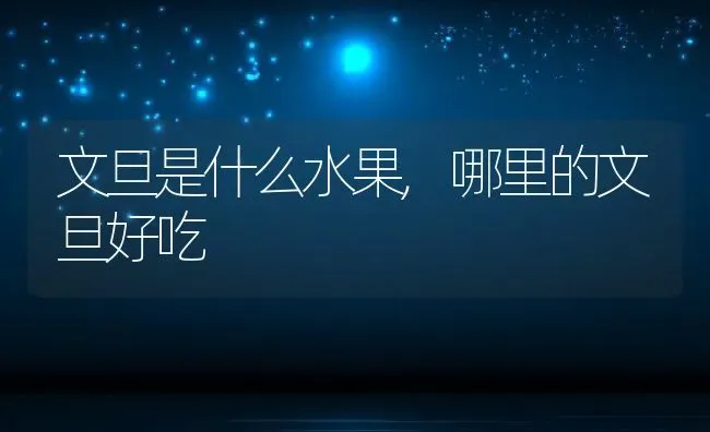 文旦是什么水果,哪里的文旦好吃 | 养殖常见问题