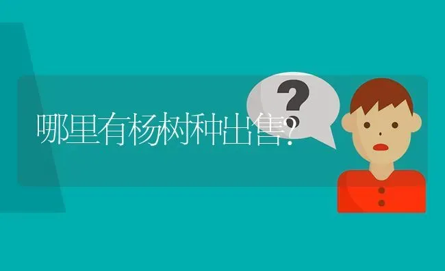 哪里有杨树种出售? | 养殖问题解答