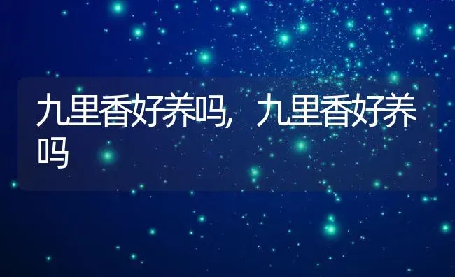 九里香好养吗,九里香好养吗 | 养殖常见问题