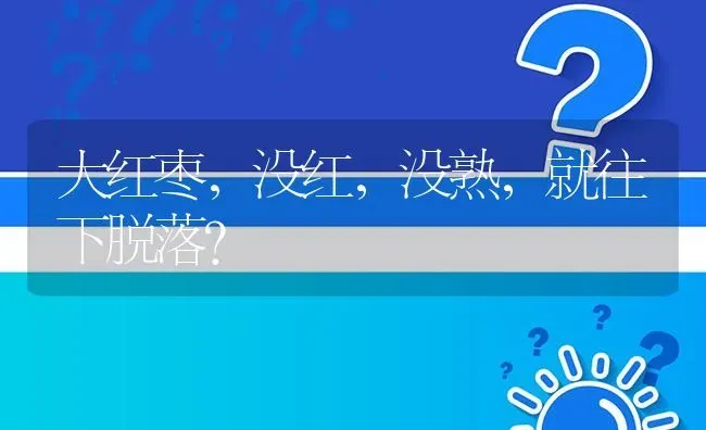 大红枣,没红,没熟,就往下脱落? | 养殖问题解答