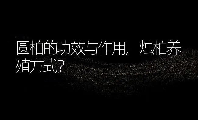 圆柏的功效与作用,烛柏养殖方式？ | 养殖常见问题