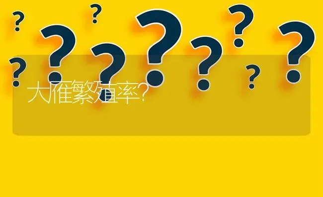 大雁繁殖率? | 养殖问题解答