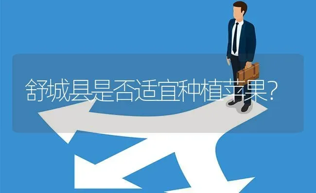 舒城县是否适宜种植苹果? | 养殖问题解答