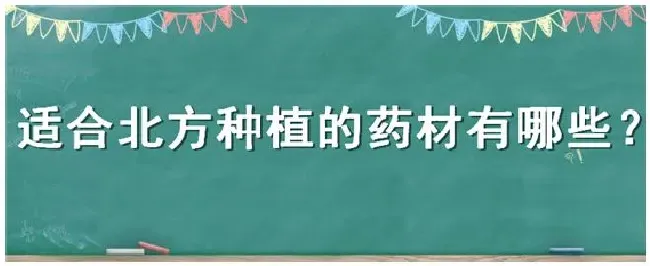 适合北方种植的药材有哪些 | 三农答疑