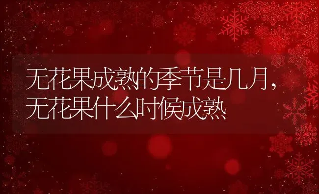 无花果成熟的季节是几月,无花果什么时候成熟 | 养殖常见问题