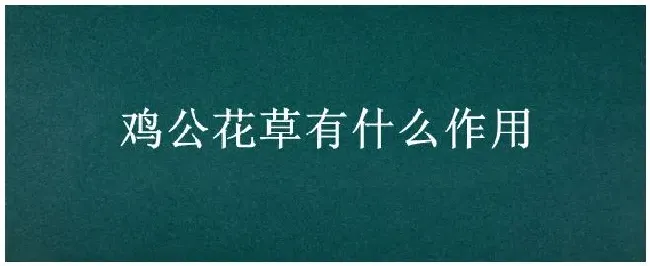 鸡公花草有什么作用 | 三农问答