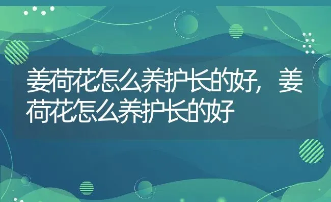 姜荷花怎么养护长的好,姜荷花怎么养护长的好 | 养殖常见问题