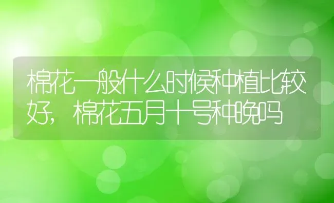 棉花一般什么时候种植比较好,棉花五月十号种晚吗 | 养殖常见问题