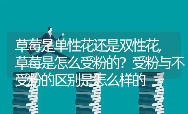 草莓是单性花还是双性花,草莓是怎么受粉的？受粉与不受粉的区别是怎么样的 | 养殖常见问题