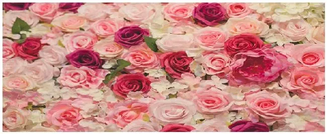 玫瑰花的特点和象征 | 生活常识