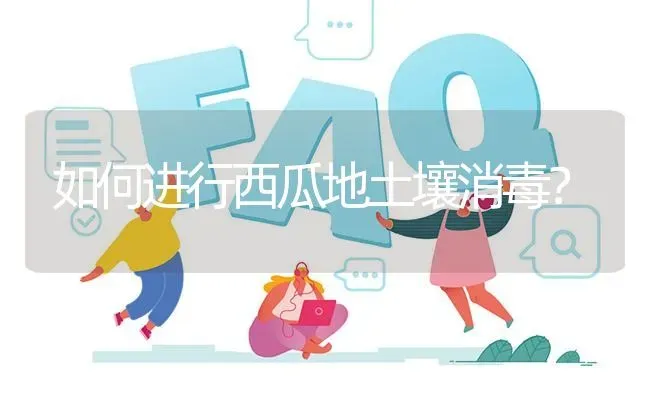 如何进行西瓜地土壤消毒? | 养殖问题解答