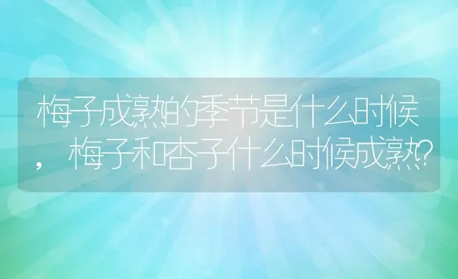 梅子成熟的季节是什么时候,梅子和杏子什么时候成熟？ | 养殖常见问题