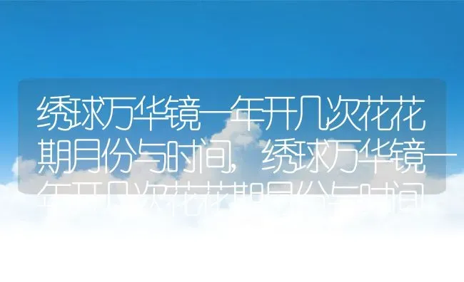 绣球万华镜一年开几次花花期月份与时间,绣球万华镜一年开几次花花期月份与时间 | 养殖常见问题