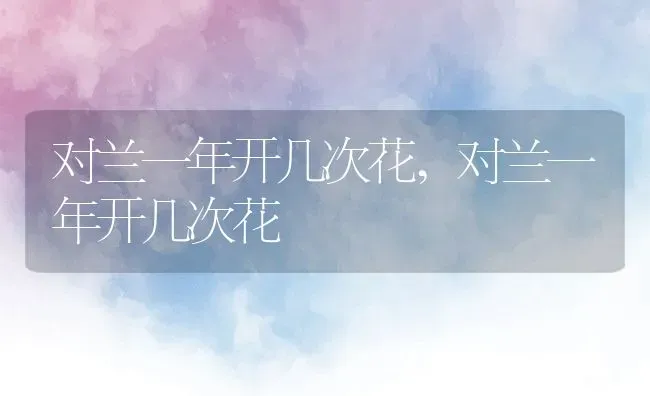 对兰一年开几次花,对兰一年开几次花 | 养殖常见问题