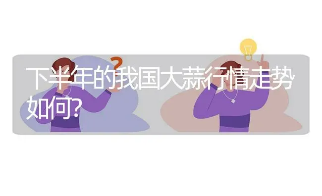 下半年的我国大蒜行情走势如何? | 养殖问题解答