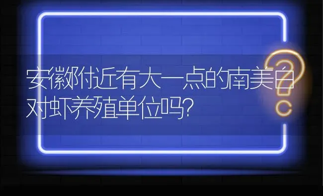 安徽附近有大一点的南美白对虾养殖单位吗? | 养殖问题解答