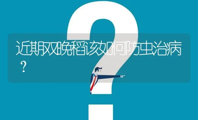 近期双晚稻该如何防虫治病? | 养殖问题解答