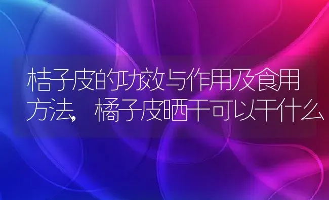 桔子皮的功效与作用及食用方法,橘子皮晒干可以干什么 | 养殖常见问题