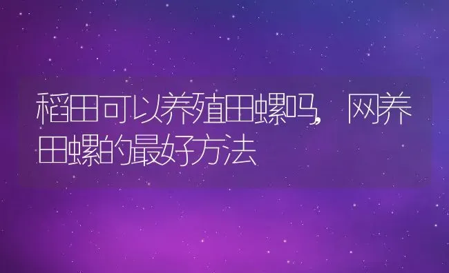 稻田可以养殖田螺吗,网养田螺的最好方法 | 养殖常见问题