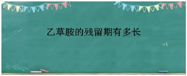 乙草胺的残留期有多长 | 农业答疑