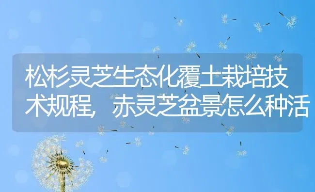 松杉灵芝生态化覆土栽培技术规程,赤灵芝盆景怎么种活 | 养殖常见问题