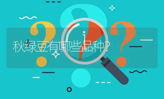 秋绿豆有哪些品种? | 养殖问题解答