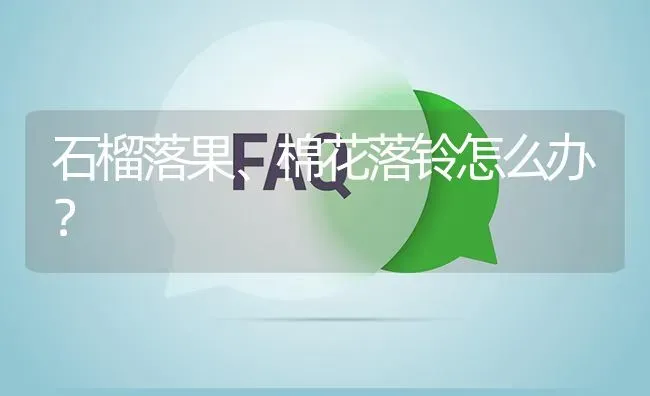 石榴落果、棉花落铃怎么办? | 养殖问题解答