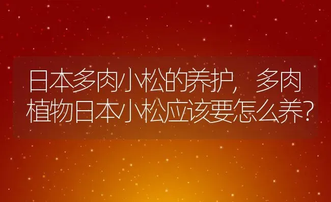 日本多肉小松的养护,多肉植物日本小松应该要怎么养？ | 养殖常见问题