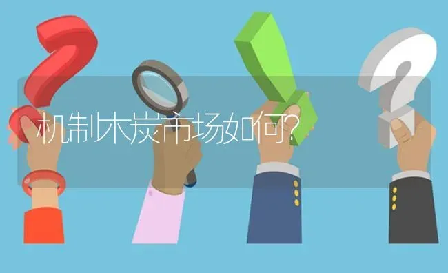 机制木炭市场如何? | 养殖问题解答