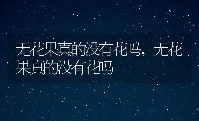 无花果真的没有花吗,无花果真的没有花吗 | 养殖常见问题