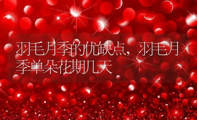 荷花生长环境条件及特点,荷花的观赏特性？ | 养殖常见问题