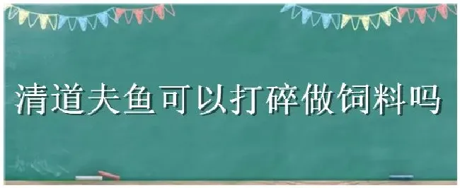 清道夫鱼可以打碎做饲料吗 | 生活常识