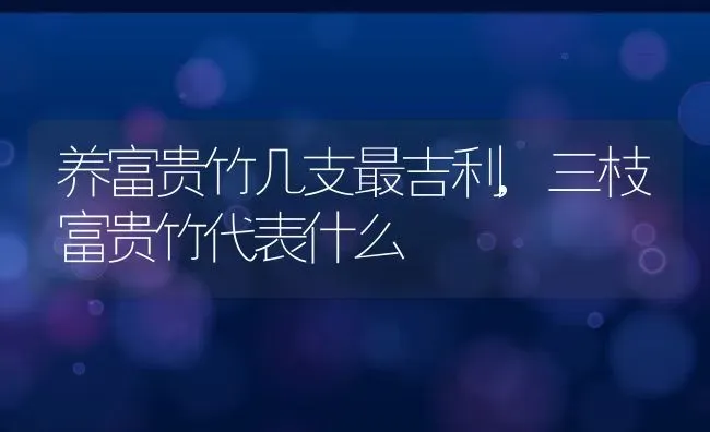 养富贵竹几支最吉利,三枝富贵竹代表什么 | 养殖常见问题