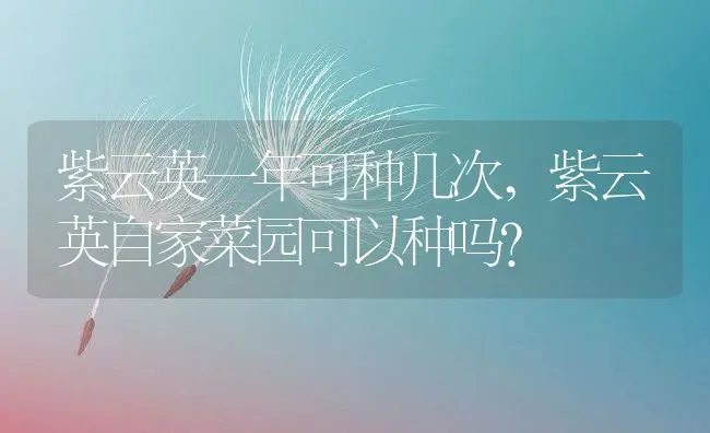 紫云英一年可种几次,紫云英自家菜园可以种吗？ | 养殖常见问题