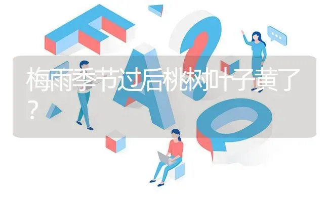 梅雨季节过后桃树叶子黄了? | 养殖问题解答