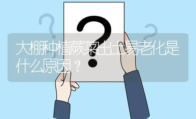 大棚种植蕨菜出土易老化是什么原因? | 养殖问题解答