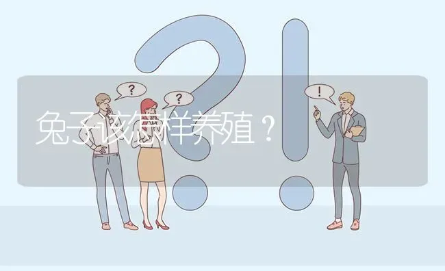 兔子该怎样养殖? | 养殖问题解答