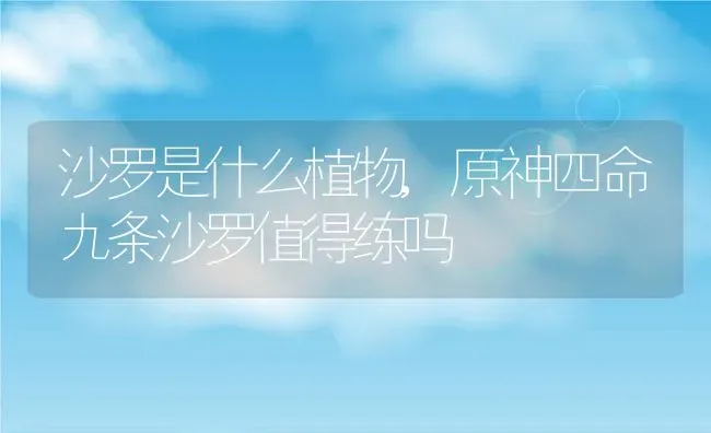 沙罗是什么植物,原神四命九条沙罗值得练吗 | 养殖常见问题