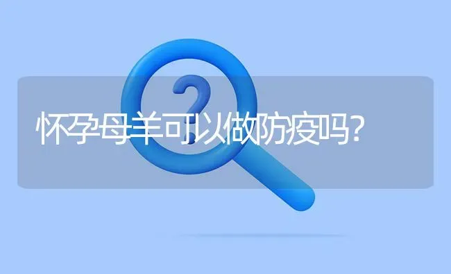 怀孕母羊可以做防疫吗? | 养殖问题解答