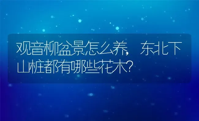 观音柳盆景怎么养,东北下山桩都有哪些花木？ | 养殖常见问题