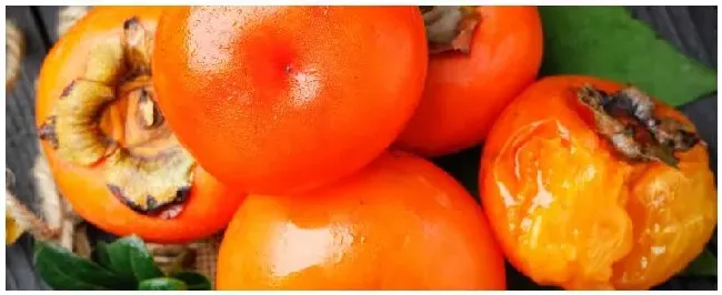 防治柿蒂虫用什么 | 农业问题