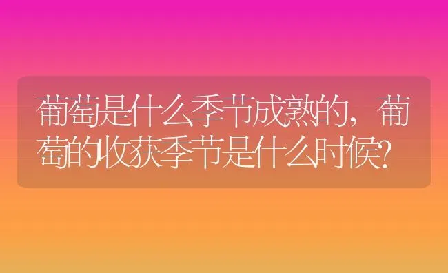 葡萄是什么季节成熟的,葡萄的收获季节是什么时候？ | 养殖常见问题