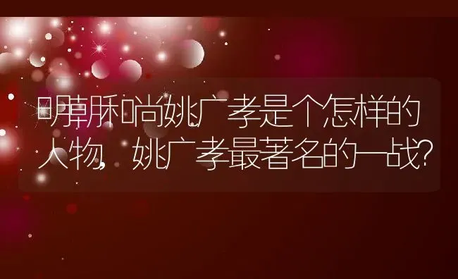 明朝和尚姚广孝是个怎样的人物,姚广孝最著名的一战？ | 养殖常见问题