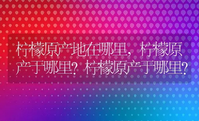 柠檬原产地在哪里,柠檬原产于哪里？柠檬原产于哪里？ | 养殖常见问题