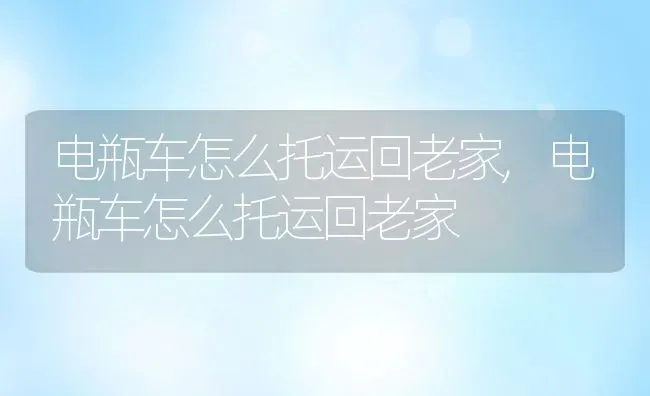 电瓶车怎么托运回老家,电瓶车怎么托运回老家 | 养殖常见问题